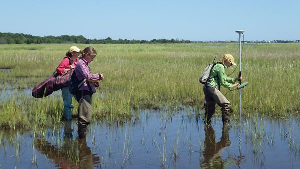 Scientists working with Dr. Tracy Quirk use Real Time Kinematic (RTK) satellite navigation with GPS technology to determine marsh elevation in Barnegat Bay, N.J.